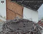 Capi_Dubne_20250913_111503.jpg