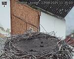 Capi_Dubne_20250913_113503.jpg