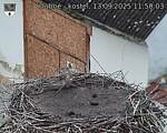 Capi_Dubne_20250913_115003.jpg