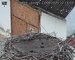 Capi_Dubne_20250913_121504.jpg