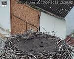 Capi_Dubne_20250913_122002.jpg