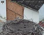 Capi_Dubne_20250913_123002.jpg