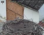 Capi_Dubne_20250913_132002.jpg