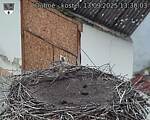 Capi_Dubne_20250913_133003.jpg