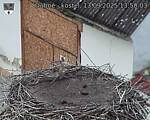 Capi_Dubne_20250913_135003.jpg