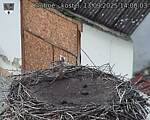 Capi_Dubne_20250913_140003.jpg