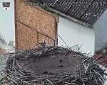 Capi_Dubne_20250913_142002.jpg