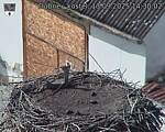 Capi_Dubne_20250913_143002.jpg