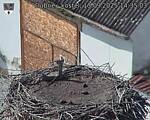 Capi_Dubne_20250913_143503.jpg