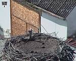 Capi_Dubne_20250913_144003.jpg