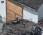 Capi_Dubne_20250913_144503.jpg