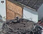 Capi_Dubne_20250913_145003.jpg
