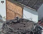 Capi_Dubne_20250913_145503.jpg