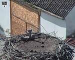 Capi_Dubne_20250913_150502.jpg