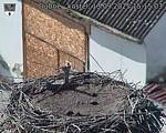 Capi_Dubne_20250913_151503.jpg