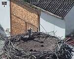 Capi_Dubne_20250913_152003.jpg