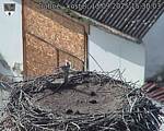 Capi_Dubne_20250913_153003.jpg
