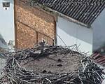 Capi_Dubne_20250913_154003.jpg