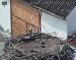 Capi_Dubne_20250913_154503.jpg