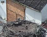 Capi_Dubne_20250913_155502.jpg