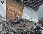 Capi_Dubne_20250913_160003.jpg