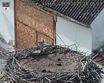 Capi_Dubne_20250913_160503.jpg