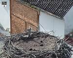 Capi_Dubne_20250913_161502.jpg