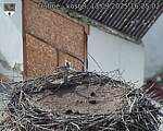 Capi_Dubne_20250913_162502.jpg