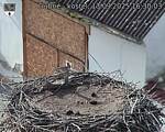 Capi_Dubne_20250913_163003.jpg