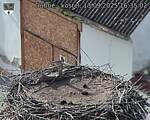 Capi_Dubne_20250913_163502.jpg