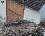 Capi_Dubne_20250913_164504.jpg