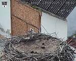 Capi_Dubne_20250913_170002.jpg