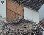 Capi_Dubne_20250913_170503.jpg