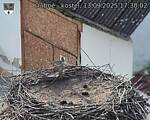 Capi_Dubne_20250913_173002.jpg