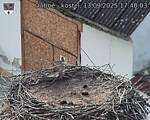 Capi_Dubne_20250913_174003.jpg