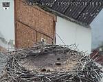 Capi_Dubne_20250913_181003.jpg