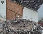 Capi_Dubne_20250913_182003.jpg