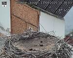 Capi_Dubne_20250913_183003.jpg