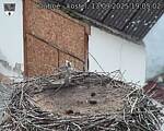 Capi_Dubne_20250913_190502.jpg