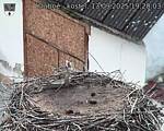 Capi_Dubne_20250913_192003.jpg
