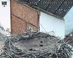 Capi_Dubne_20250913_193003.jpg