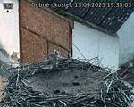 Capi_Dubne_20250913_193503.jpg