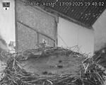 Capi_Dubne_20250913_194003.jpg