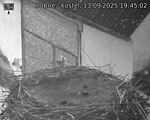 Capi_Dubne_20250913_194502.jpg