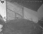 Capi_Dubne_20250913_195502.jpg