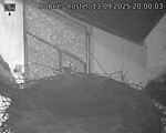 Capi_Dubne_20250913_200003.jpg