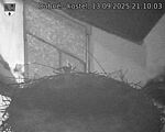 Capi_Dubne_20250913_211003.jpg