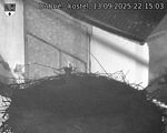Capi_Dubne_20250913_221503.jpg
