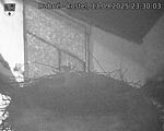 Capi_Dubne_20250913_233003.jpg
