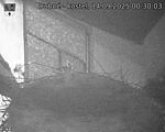 Capi_Dubne_20250914_003003.jpg